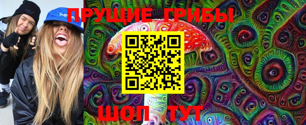 Можга  купить наркотик  Вход с VPN  Псилоцибиновые грибы MAGIC MUSHROOMS 